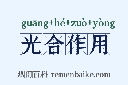 光合作用是什么意思的图片